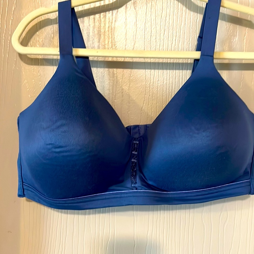 Blue Wireless 42D Vanity Fair Bra